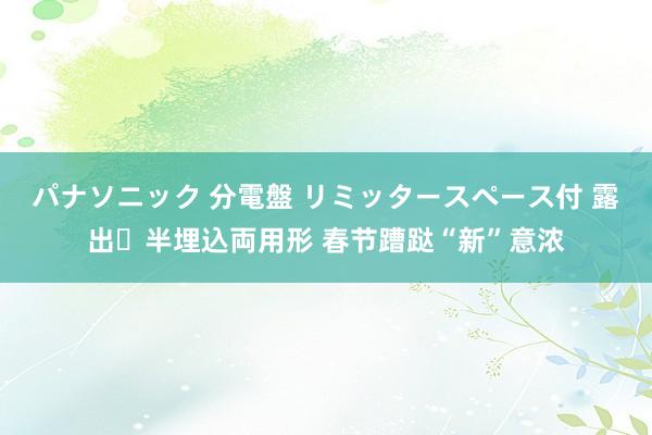 パナソニック 分電盤 リミッタースペース付 露出・半埋込両用形 春节蹧跶“新”意浓