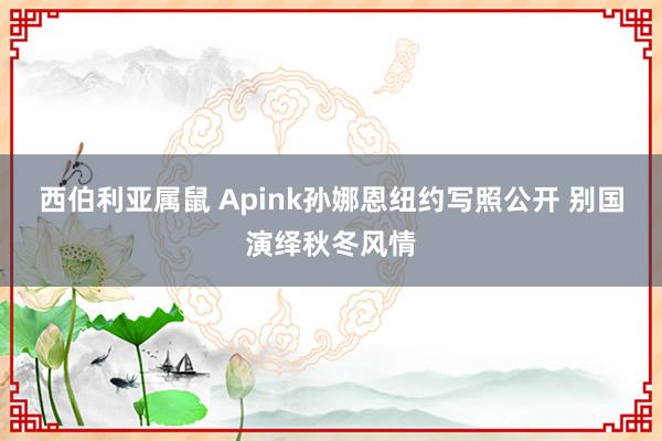 西伯利亚属鼠 Apink孙娜恩纽约写照公开 别国演绎秋冬风情