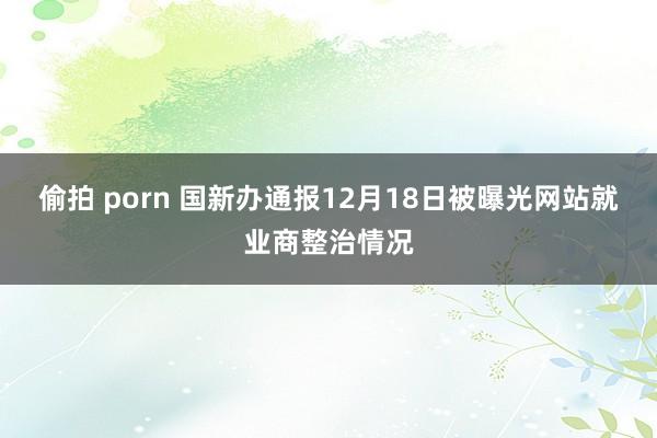 偷拍 porn 国新办通报12月18日被曝光网站就业商整治情况