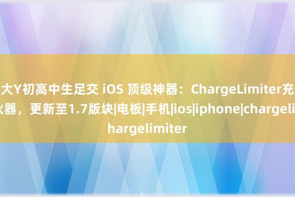 大Y初高中生足交 iOS 顶级神器：ChargeLimiter充电散伙器，更新至1.7版块|电板|手机|ios|iphone|chargelimiter