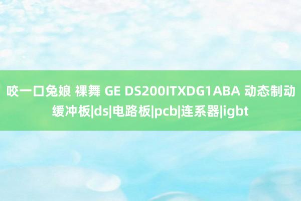 咬一口兔娘 裸舞 GE DS200ITXDG1ABA 动态制动缓冲板|ds|电路板|pcb|连系器|igbt