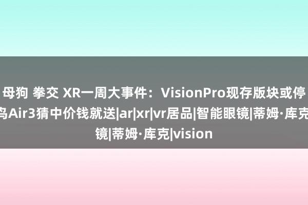 母狗 拳交 XR一周大事件：VisionPro现存版块或停产；雷鸟Air3猜中价钱就送|ar|xr|vr居品|智能眼镜|蒂姆·库克|vision