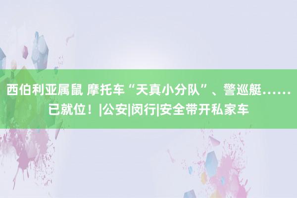 西伯利亚属鼠 摩托车“天真小分队”、警巡艇……已就位！|公安|闵行|安全带开私家车