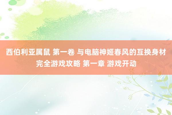 西伯利亚属鼠 第一卷 与电脑神姬春风的互换身材完全游戏攻略 第一章 游戏开动