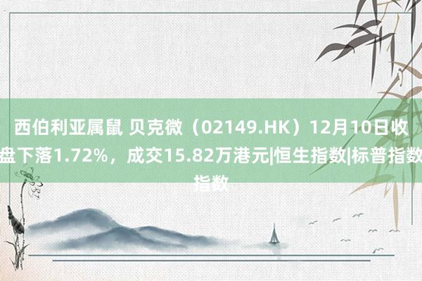 西伯利亚属鼠 贝克微（02149.HK）12月10日收盘下落1.72%，成交15.82万港元|恒生指数|标普指数