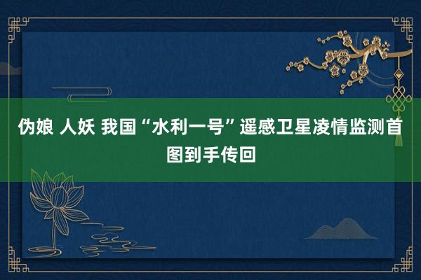 伪娘 人妖 我国“水利一号”遥感卫星凌情监测首图到手传回